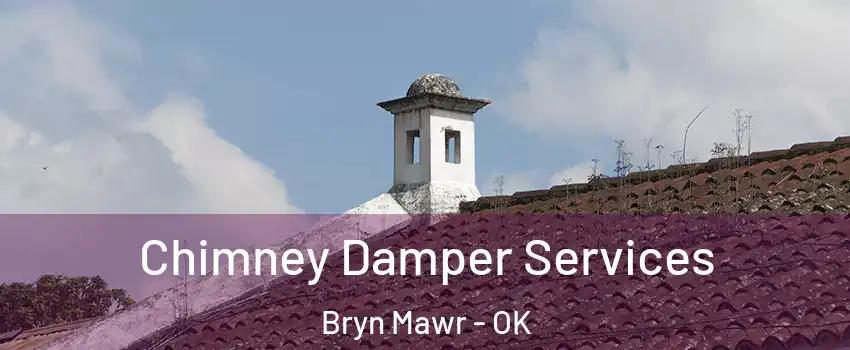 Chimney Damper Services Bryn Mawr - OK