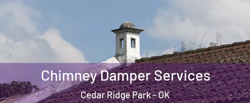 Chimney Damper Services Cedar Ridge Park - OK