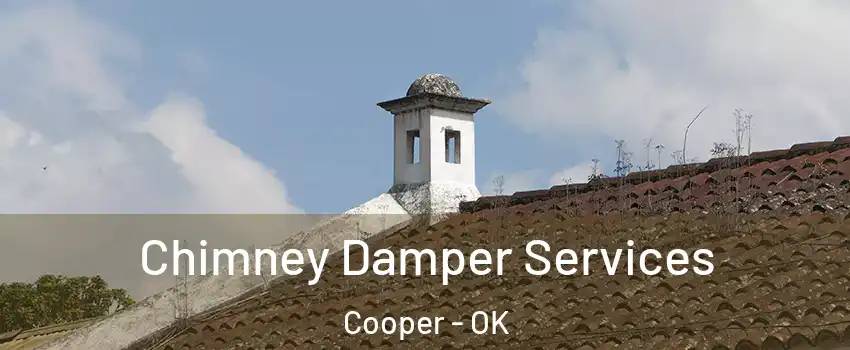 Chimney Damper Services Cooper - OK