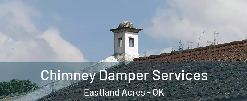 Chimney Damper Services Eastland Acres - OK