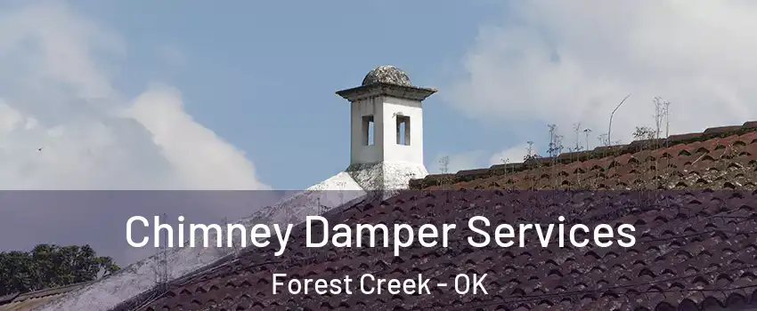 Chimney Damper Services Forest Creek - OK