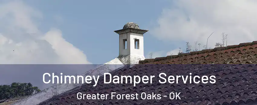 Chimney Damper Services Greater Forest Oaks - OK