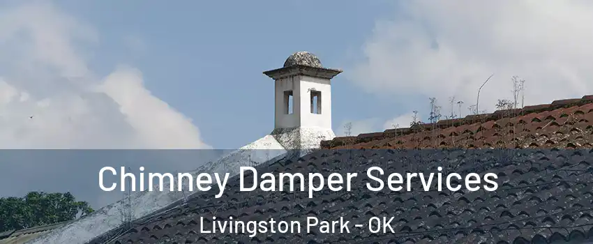 Chimney Damper Services Livingston Park - OK