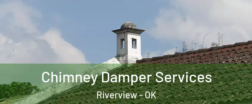 Chimney Damper Services Riverview - OK