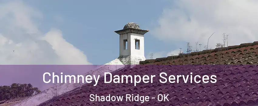 Chimney Damper Services Shadow Ridge - OK