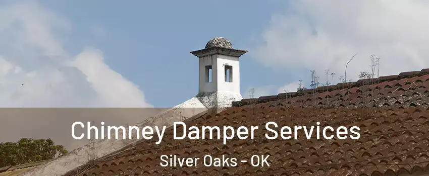 Chimney Damper Services Silver Oaks - OK