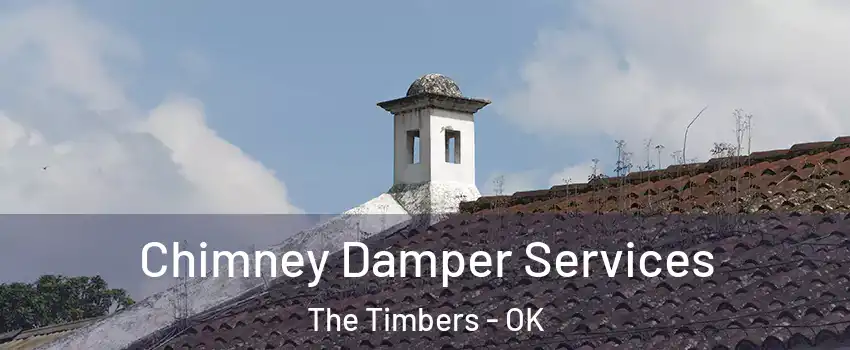 Chimney Damper Services The Timbers - OK