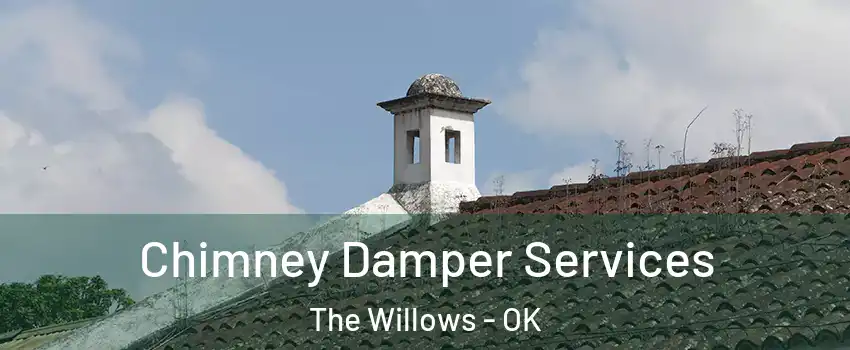 Chimney Damper Services The Willows - OK
