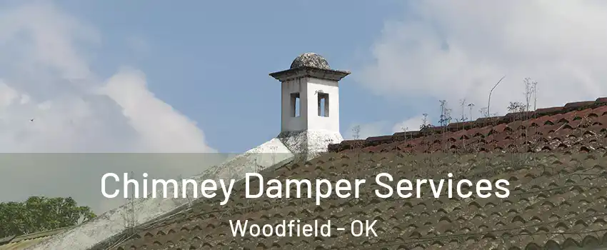 Chimney Damper Services Woodfield - OK