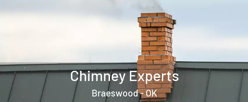 Chimney Experts Braeswood - OK