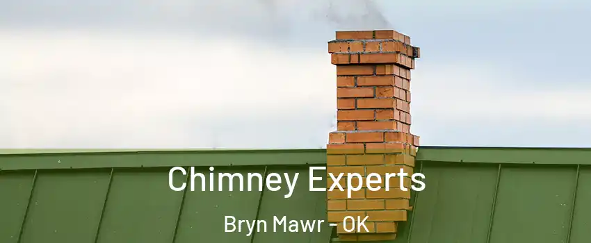 Chimney Experts Bryn Mawr - OK