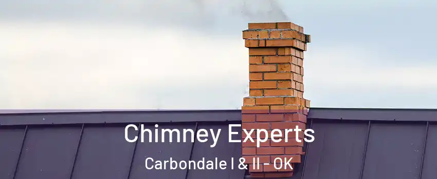 Chimney Experts Carbondale I & II - OK