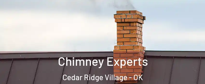 Chimney Experts Cedar Ridge Village - OK