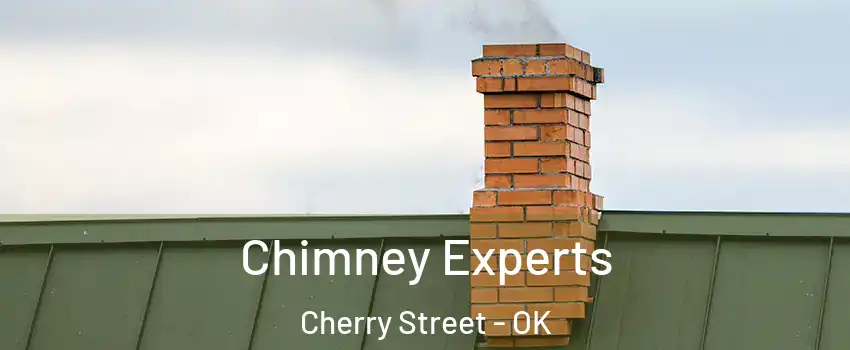 Chimney Experts Cherry Street - OK