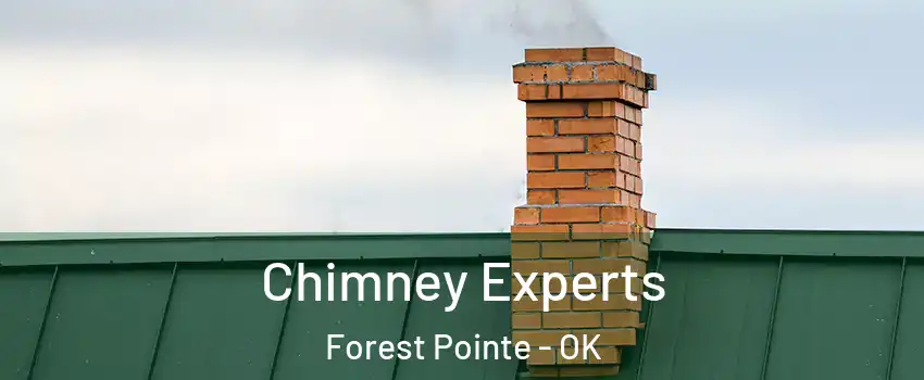 Chimney Experts Forest Pointe - OK