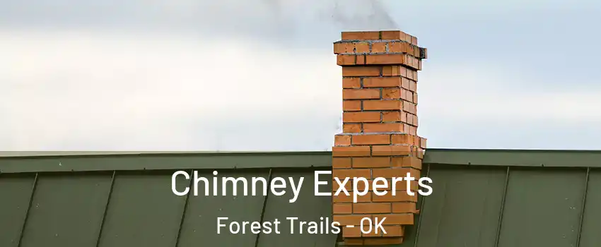 Chimney Experts Forest Trails - OK