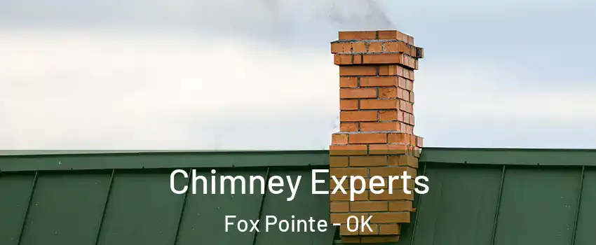 Chimney Experts Fox Pointe - OK