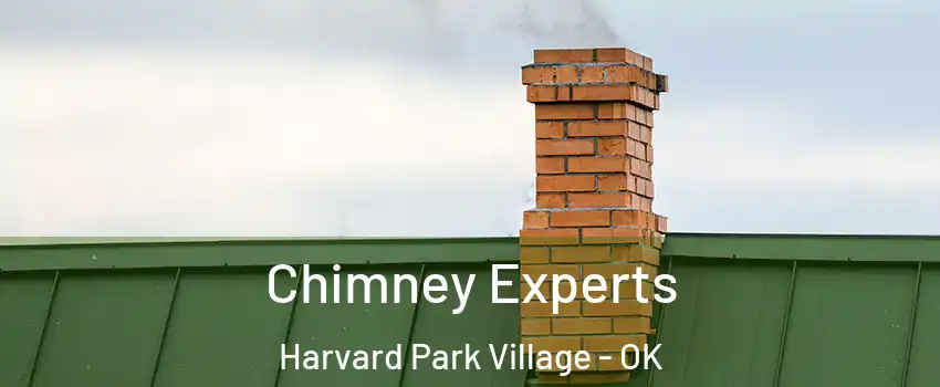 Chimney Experts Harvard Park Village - OK