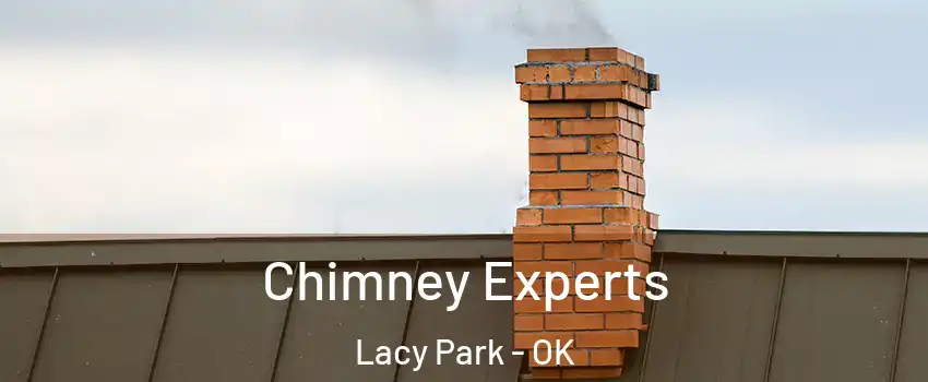 Chimney Experts Lacy Park - OK