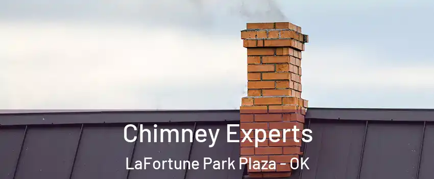 Chimney Experts LaFortune Park Plaza - OK