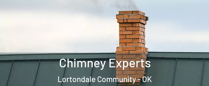 Chimney Experts Lortondale Community - OK
