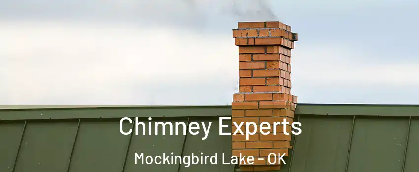 Chimney Experts Mockingbird Lake - OK
