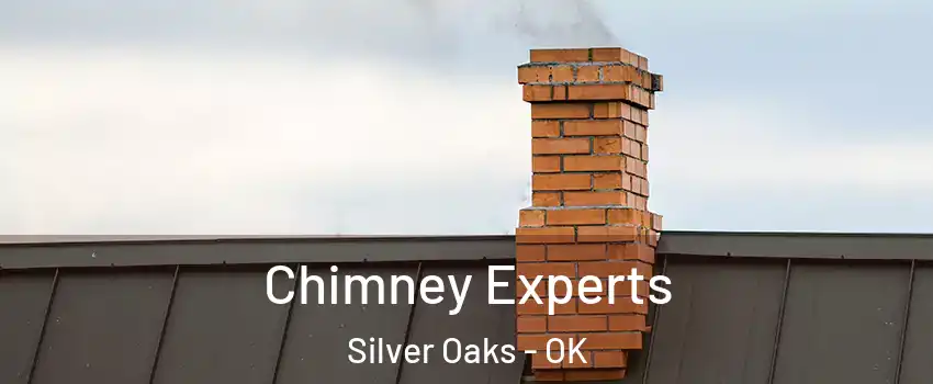 Chimney Experts Silver Oaks - OK