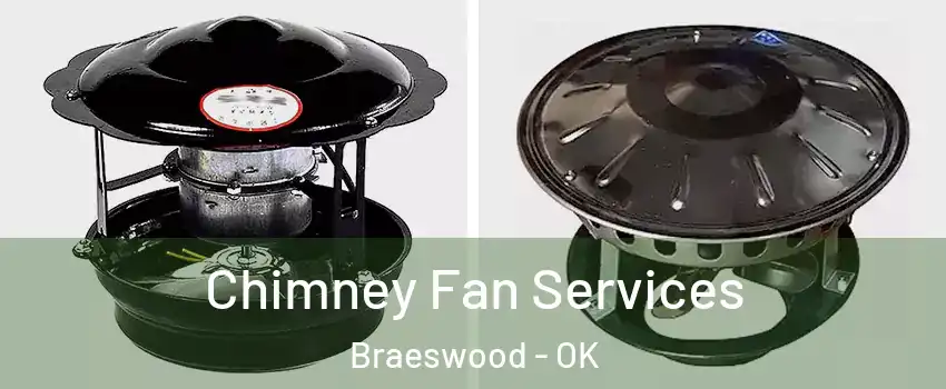 Chimney Fan Services Braeswood - OK