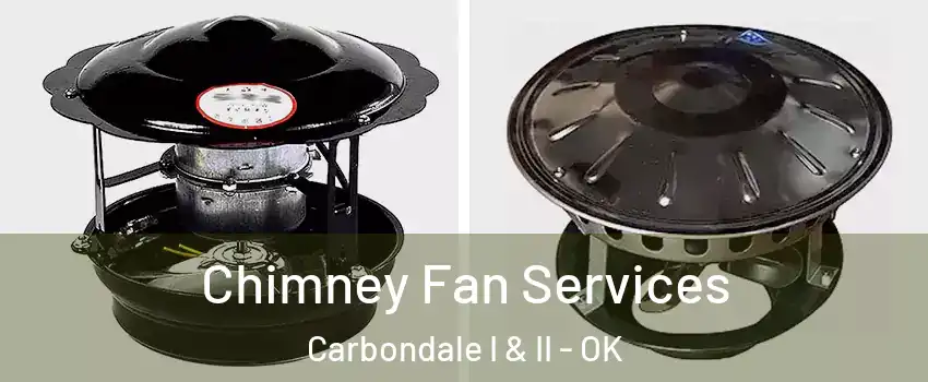 Chimney Fan Services Carbondale I & II - OK