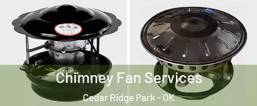 Chimney Fan Services Cedar Ridge Park - OK