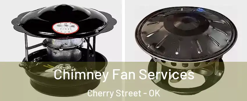 Chimney Fan Services Cherry Street - OK