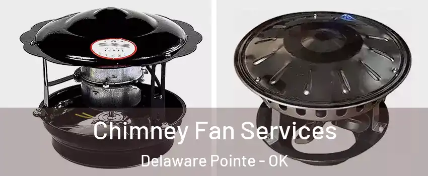 Chimney Fan Services Delaware Pointe - OK