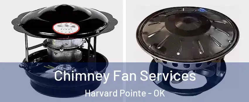 Chimney Fan Services Harvard Pointe - OK