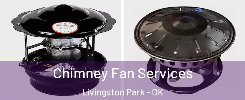 Chimney Fan Services Livingston Park - OK
