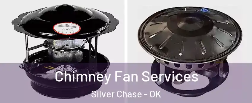 Chimney Fan Services Silver Chase - OK