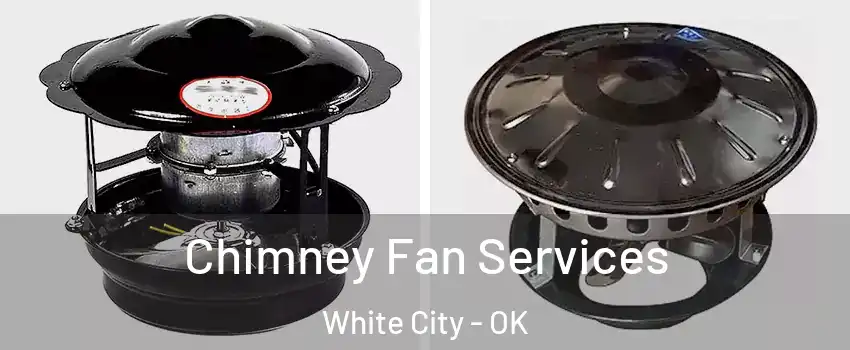 Chimney Fan Services White City - OK
