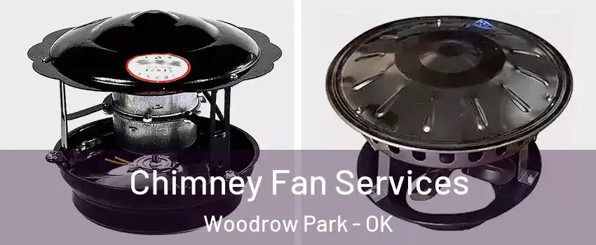Chimney Fan Services Woodrow Park - OK