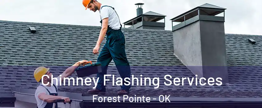 Chimney Flashing Services Forest Pointe - OK