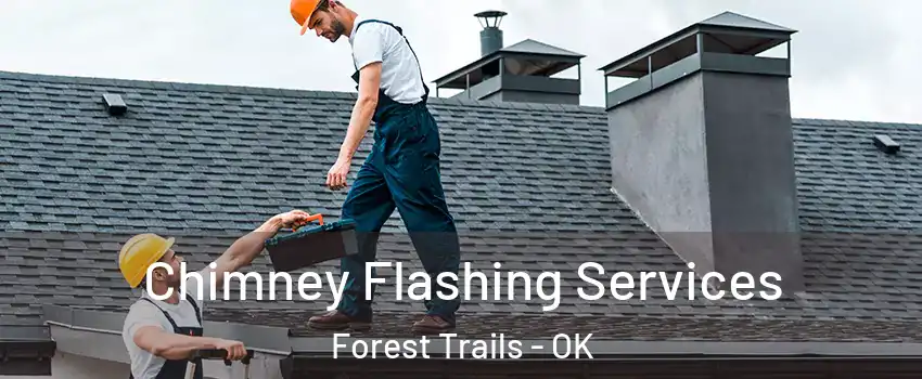 Chimney Flashing Services Forest Trails - OK