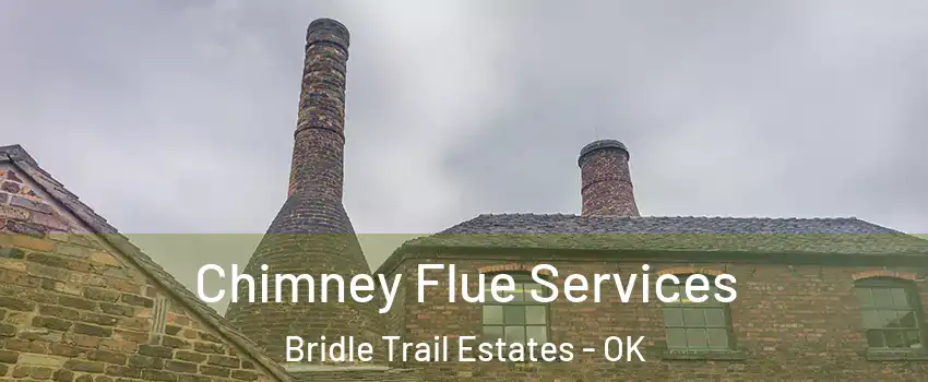 Chimney Flue Services Bridle Trail Estates - OK