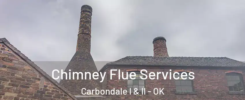 Chimney Flue Services Carbondale I & II - OK