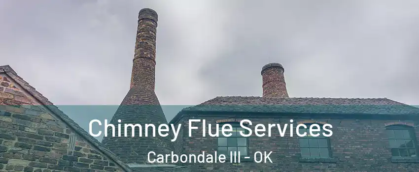 Chimney Flue Services Carbondale III - OK