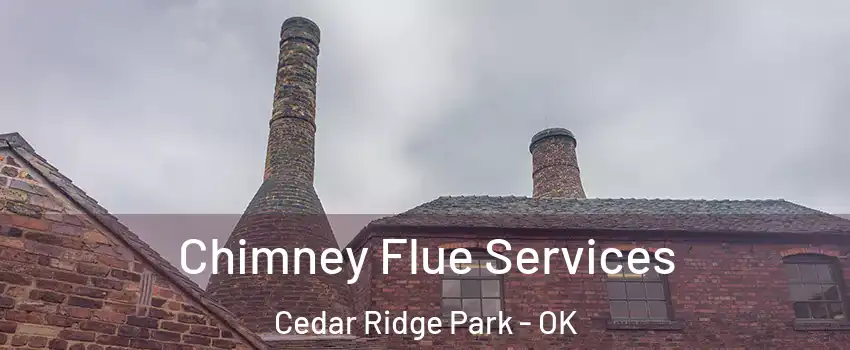 Chimney Flue Services Cedar Ridge Park - OK