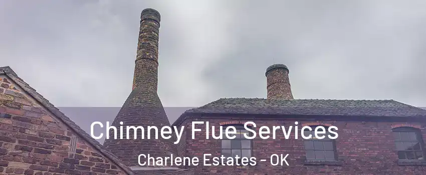 Chimney Flue Services Charlene Estates - OK