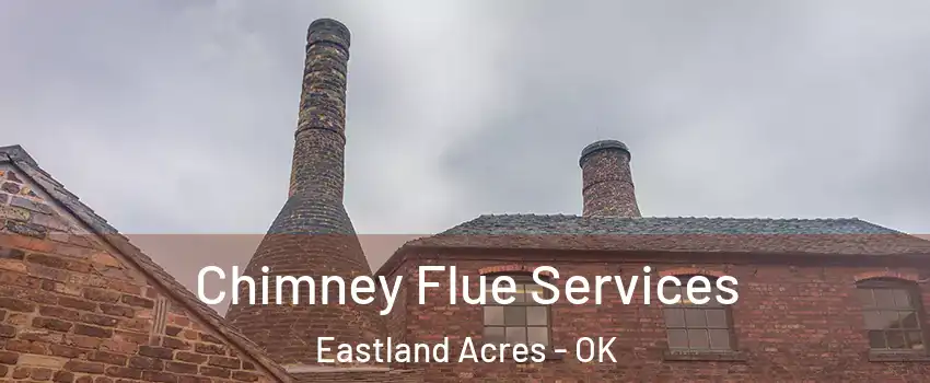 Chimney Flue Services Eastland Acres - OK
