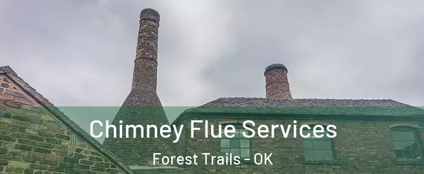 Chimney Flue Services Forest Trails - OK