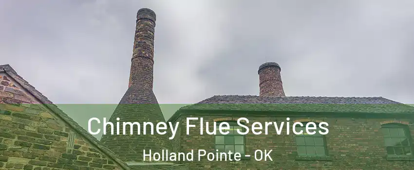 Chimney Flue Services Holland Pointe - OK