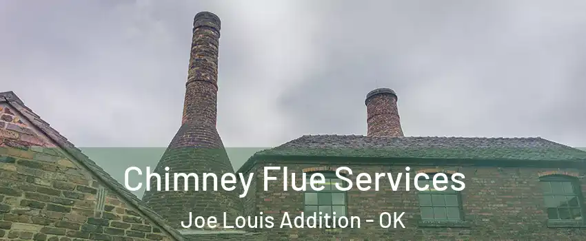 Chimney Flue Services Joe Louis Addition - OK