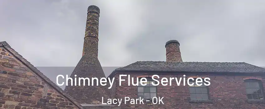 Chimney Flue Services Lacy Park - OK