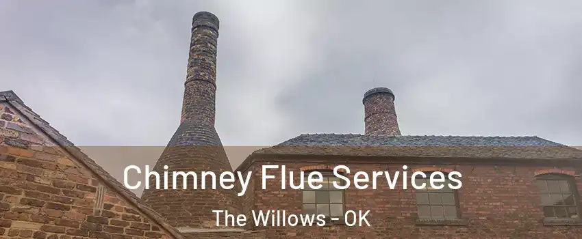 Chimney Flue Services The Willows - OK